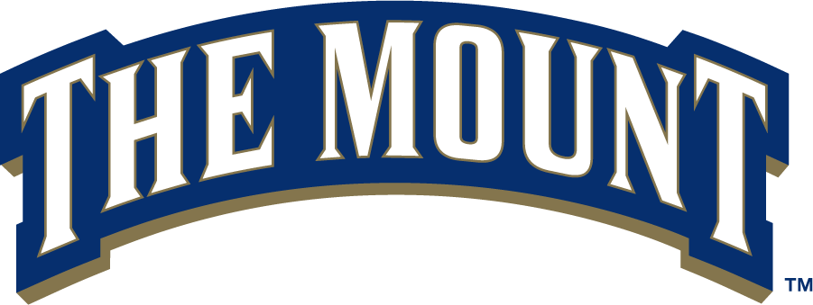 Mount St. Marys Mountaineers 2006-2016 Wordmark Logo v2 DIY iron on transfer (heat transfer)